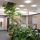 Immagine 1 azienda 125 CONSULTING PROFESSIONISTI D'IMPRESA Servizi professionali in Mestre Ve