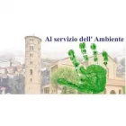 Immagine 1 azienda 4 SERVICE Servizi professionali in Ravenna