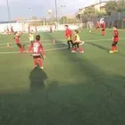 Immagine 4 azienda A.D. POLISPORTIVA CATANIA 1980 Federazioni in Catania