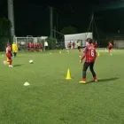 Immagine 5 azienda A.D. POLISPORTIVA CATANIA 1980 Federazioni in Catania