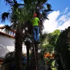 Immagine 7 azienda A.M.A. SERVIZI DI GIARDINAGGIO Shopping e acquisti in Palermo