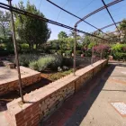 Immagine 8 azienda A.M.A. SERVIZI DI GIARDINAGGIO Shopping e acquisti in Palermo
