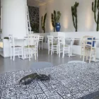 Immagine 3 azienda A PULERA FOOD&DRINK Shopping e acquisti in Capo D'orlando ME