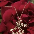 Immagine 1 azienda AGAPANTHUS GIOIELLI Industrie e agricoltura in Milano