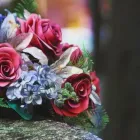 Immagine 1 azienda AGENZIA FUNEBRE CALDERARI Servizi professionali in Ceccano FR