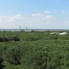 Immagine 7 azienda AGENZIA IMMOBILIARE RAVENNA SERVIZI Servizi professionali in Ravenna