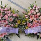 Immagine 3 azienda AGENZIA ONORANZE FUNEBRI VITO PARISI Servizio di trasporto disabili in Giarre CT