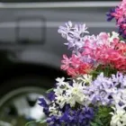 Immagine 5 azienda AGENZIA ONORANZE FUNEBRI VITO PARISI Servizio di trasporto disabili in Giarre CT