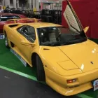Immagine 4 azienda AGENZIA SERENA Servizi professionali in Torino