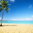 Immagine 4 azienda AGENZIA VIAGGI DIONISI TOUR Viaggi e turismo in Albano Laziale RM