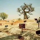 Immagine 5 azienda AGENZIA VIAGGI DIONISI TOUR Viaggi e turismo in Albano Laziale RM