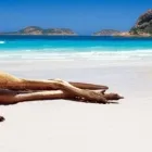 Immagine 7 azienda AGENZIA VIAGGI NOTE DAL MONDO Viaggi e turismo in Olgiate Olona VA