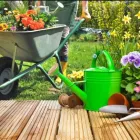 Immagine 6 azienda AGRI.FLOR.ALL. Vivaio in Capoterra CA