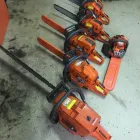 Immagine 7 azienda AGRICOLA ARCISATE Vivaio in Arcisate VA