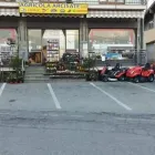 Immagine 8 azienda AGRICOLA ARCISATE Vivaio in Arcisate VA