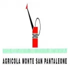 Immagine 1 azienda AGRICOLA MONTE SAN PANTALEONE Servizi professionali in Trieste
