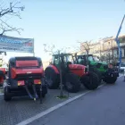 Immagine 3 azienda AGRICOLA OFANTINA Shopping e acquisti in Calitri AV