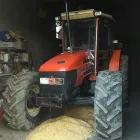 Immagine 6 azienda AGRICOLA OFANTINA Shopping e acquisti in Calitri AV