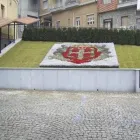 Immagine 4 azienda AGRIGARDEN Vivaio in Moncalieri TO
