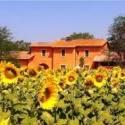 Immagine 1 azienda AGRINIDO E AGRIMATERNA IL GIROTONDO Scuola infanzia in Fiumicino RM