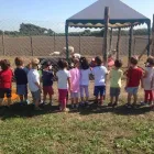 Immagine 3 azienda AGRINIDO E AGRIMATERNA IL GIROTONDO Scuola infanzia in Fiumicino RM