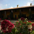 Immagine 1 azienda AGRITURISMO BACCO E ARIANNA Viaggi e turismo in Vo' PD
