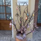 Immagine 2 azienda AGRITURISMO DA GARBONIER Viaggi e turismo in Refrontolo TV