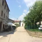 Immagine 1 azienda AGRITURISMO IL BOSCO Viaggi e turismo in Vittorio Veneto TV