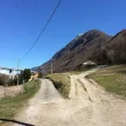Immagine 3 azienda AGRITURISMO IL BOSCO Viaggi e turismo in Vittorio Veneto TV