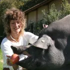 Immagine 6 azienda AGRITURISMO IL BOSCO Viaggi e turismo in Vittorio Veneto TV