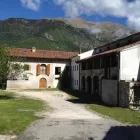 Immagine 7 azienda AGRITURISMO IL BOSCO Viaggi e turismo in Vittorio Veneto TV