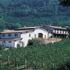 Immagine 1 azienda AGRITURISMO L'ALVEARE Viaggi e turismo in Vo' PD