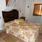 Immagine 2 azienda AGRITURISMO SPAZZAVENTO Viaggi e turismo in Vecchiano PI