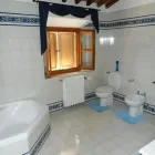 Immagine 6 azienda AGRITURISMO SPAZZAVENTO Viaggi e turismo in Vecchiano PI