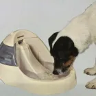 Immagine 6 azienda AGRIZOO 2000 Servizi professionali in Gravina Di Catania CT