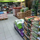 Immagine 4 azienda AGROBIO CONSORZIO AGRARIO MILANO Vivaio in Milano