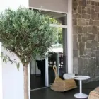 Immagine 5 azienda ALBA HOTEL Viaggi e turismo in Ravenna