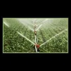 Immagine 1 azienda ALBERTINI ENRICO GIARDINAGGIO Servizi professionali in Croce Di Casalecchio Bo