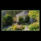 Immagine 3 azienda ALBERTINI ENRICO GIARDINAGGIO Servizi professionali in Croce Di Casalecchio Bo