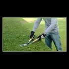 Immagine 4 azienda ALBERTINI ENRICO GIARDINAGGIO Servizi professionali in Croce Di Casalecchio Bo