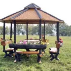 Immagine 3 azienda ALBIN GIARDINI Vivaio in Alto Reno Terme Bo