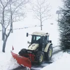 Immagine 4 azienda ALBIN GIARDINI Vivaio in Alto Reno Terme Bo