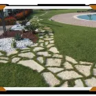 Immagine 7 azienda ALBIN GIARDINI Vivaio in Alto Reno Terme Bo