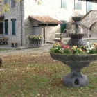 Immagine 8 azienda ALBIN GIARDINI Vivaio in Alto Reno Terme Bo