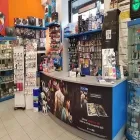 Immagine 1 azienda ALEX COMPUTER - ASUS POINT Sport e tempo libero in Torino