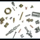 Immagine 4 azienda ALGERI Shopping e acquisti in Torino