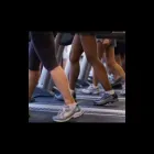 Immagine 1 azienda ALL SPORT Shopping e acquisti in Chieri