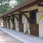 Immagine 2 azienda ALLEVAMENTO CASCINA IL SOLE Industrie e agricoltura in Cantù