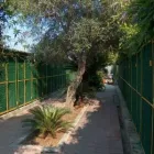Immagine 1 azienda ALLEVAMENTO DEL LEVANTE Servizi professionali in Bari