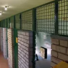 Immagine 4 azienda ALLEVAMENTO DEL LEVANTE Servizi professionali in Bari